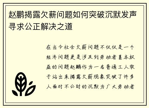 赵鹏揭露欠薪问题如何突破沉默发声寻求公正解决之道