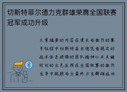 切斯特菲尔德力克群雄荣膺全国联赛冠军成功升级 切斯特菲尔德力克群雄荣膺全国联赛冠军成功升级