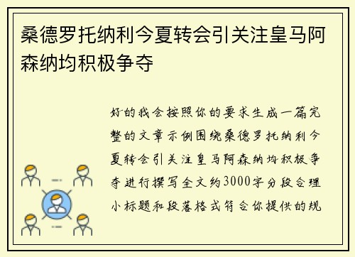 桑德罗托纳利今夏转会引关注皇马阿森纳均积极争夺 桑德罗托纳利今夏转会引关注皇马阿森纳均积极争夺